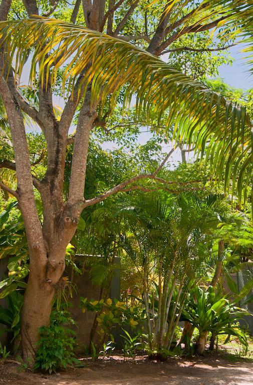 Gardens Retreat Pereybere Beach Exterior foto
